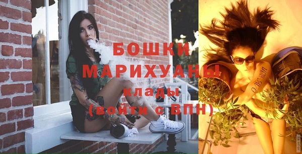 дмт Няндома